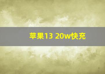 苹果13 20w快充